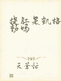 提肛是凯格尔运动吗