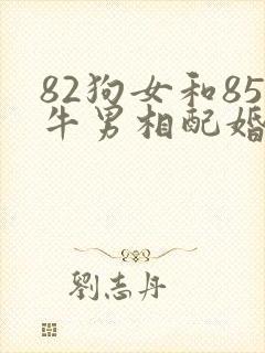 82狗女和85牛男相配婚姻如何