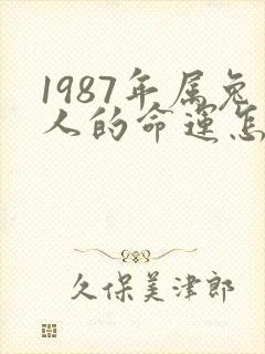 1987年属兔人的命运怎么样