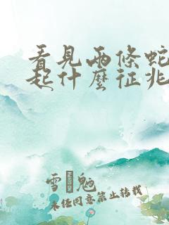 看见两条蛇缠一起什么征兆