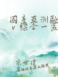 国产亚洲欧洲aⅴ综合一区