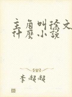 主角叫徐文的是什么小说