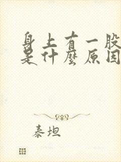 身上有一股骚味是什么原因