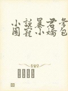 小说暴君爹爹的团宠小娇包全文