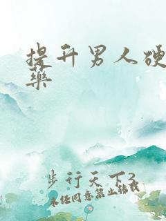 提升男人硬度的药