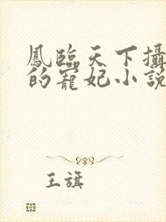 凤临天下摄政王的宠妃小说