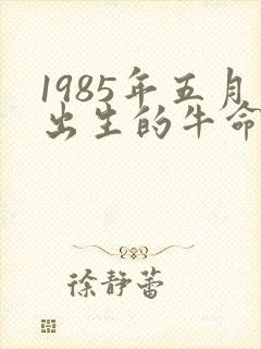 1985年五月出生的牛命运如何