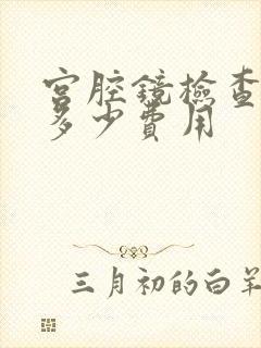 宫腔镜检查需要多少费用