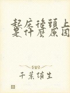 起床后头上冒汗是什么原因