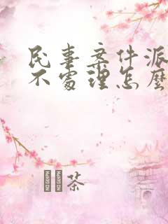 民事案件派出所不处理怎么办