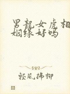 男龙女虎相配的姻缘好吗