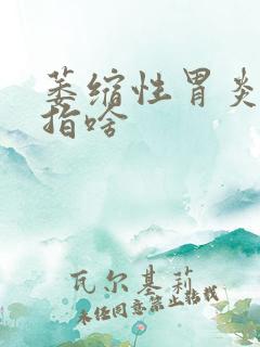 萎缩性胃炎c2指啥