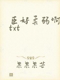 臣好柔弱啊小说txt