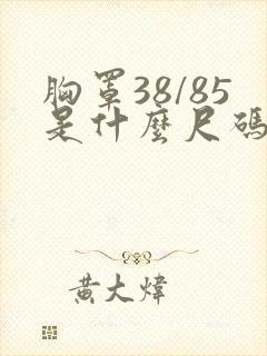 胸罩38/85是什么尺码