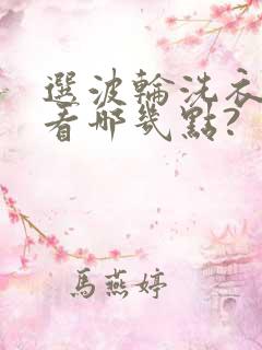 选波轮洗衣机要看哪几点?