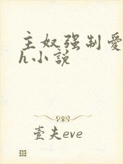 主奴强制爱双性h小说