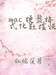 mac 硬盘格式化数据恢复