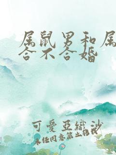 属鼠男和属牛女合不合婚