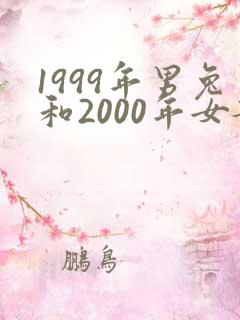 1999年男兔和2000年女龙婚配合适吗