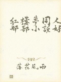 红楼梦同人小说哪部小说好看