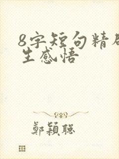 8字短句精辟人生感悟