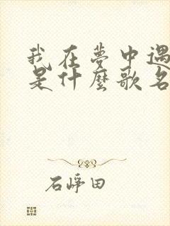 我在梦中遇见你是什么歌名