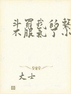 斗罗我的系统又不服气了小说