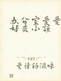 办公室爱爱好大好爽小说