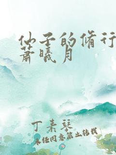 仙子的修行全篇萧曦月