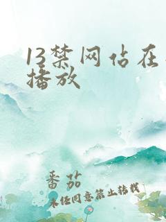 13禁网站在线播放