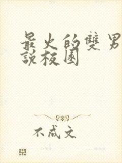 最火的双男主小说校园