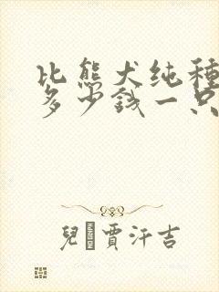 比熊犬纯种价格多少钱一只