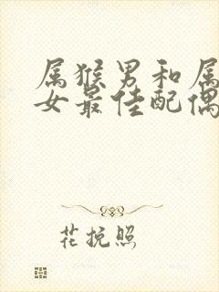 属猴男和属啥的女最佳配偶