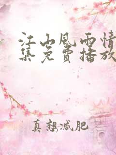 江山风雨情60集免费播放