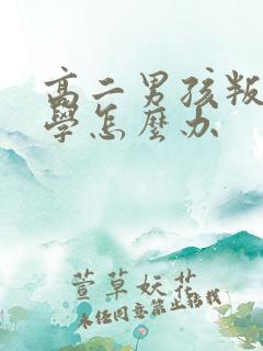 高二男孩叛逆厌学怎么办