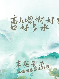 高h嗯啊好软粗口好多水