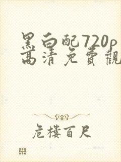 黑白配720p高清免费观看完整版