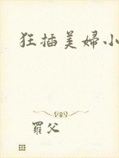 狂插美妇小说