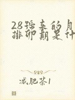 28号来的月经排卵期是什么时候