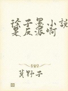 徐子墨小说我真是反派啊