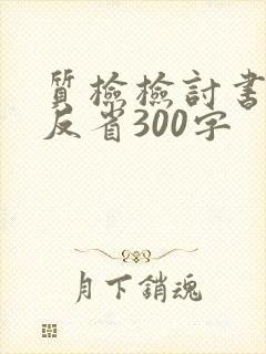 质检检讨书自我反省300字