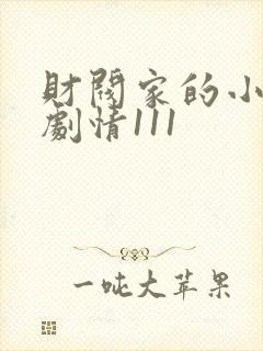 财阀家的小儿子剧情111
