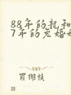 88年的龙和87年的兔婚姻怎么样