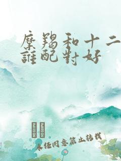 摩羯和十二星座谁配对好