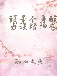 头晕全身酸痛无力没精神感觉好累