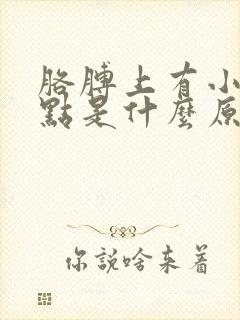 胳膊上有小红血点是什么原因