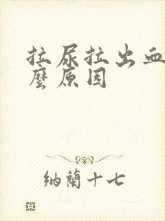 拉尿拉出血是什么原因