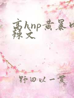 高hnp黄暴肉辣文