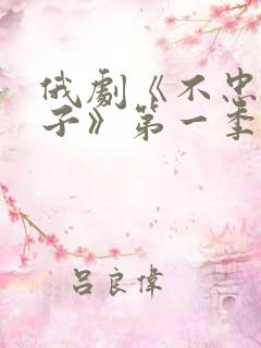 俄剧《不忠的妻子》第一季