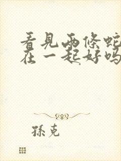 看见两条蛇缠绵在一起好吗